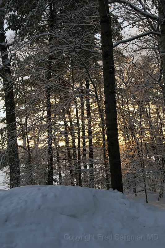20071228_093516 D2X F.jpg - Winter landscape, Happy Tails, Bridgton, Maine